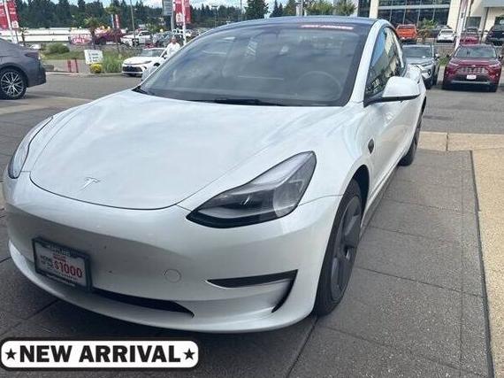 TESLA MODEL 3 2023 5YJ3E1EA3PF621718 image